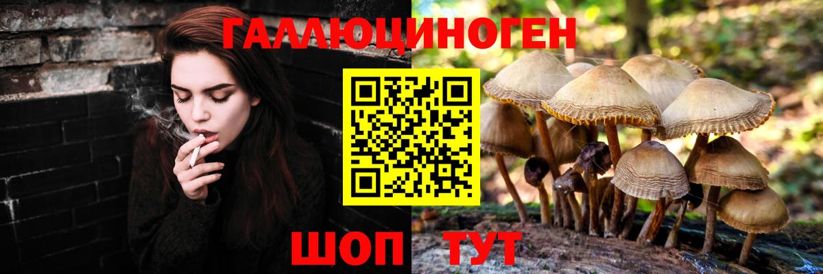 Галлюциногенные грибы GOLDEN TEACHER  Вход с VPN  Богородск 